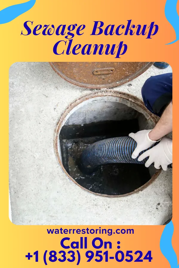 Sewage Backup Cleanup in Oriskany Falls, NY